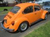 billys beetle 011.JPG