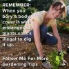 Gardening Tips.jpg