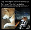 Dogpiano.png