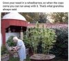 IMG_0759.jpeg