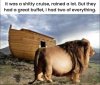 IMG_0768.jpeg