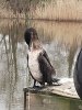 IMG_20250331_121818562.jpg