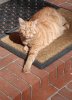 IMG_20250406_115638579~2.jpg