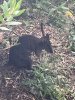 IMG_3818.jpeg
