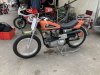 IMG_2328.jpeg