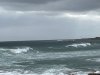 IMG_3926.jpeg