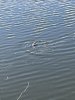 IMG_4029.jpeg