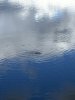 IMG_4037.jpeg