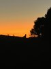 IMG_4002.jpeg