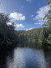 IMG_4204.jpeg
