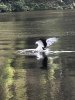 IMG_6919.jpeg