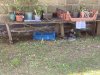 IMG_2613.jpeg