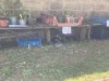 IMG_2612.jpeg