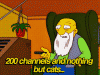 200-channels-nothing-but-cats-simpsons-retirement-TV-13565757111.gif